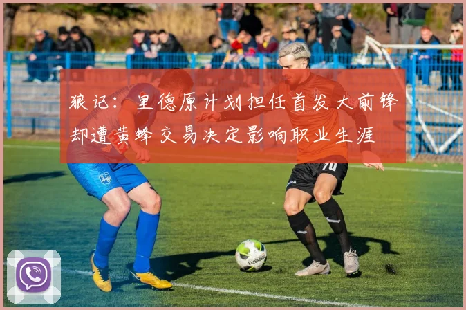 狼记：里德原计划担任首发大前锋却遭黄蜂交易决定影响职业生涯